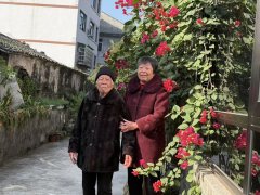 从而诱发头晕、恶心等晕车反